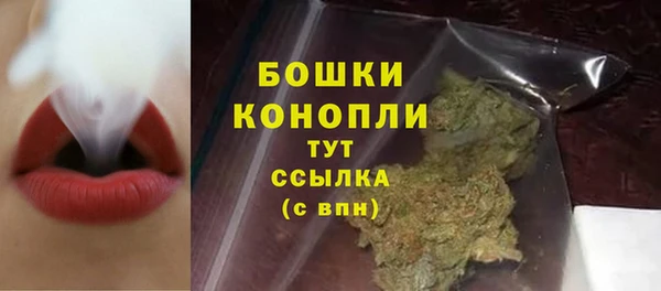 бошки Богданович